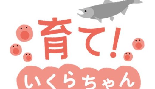 京都水族館特別展示「育て!いくらちゃん」